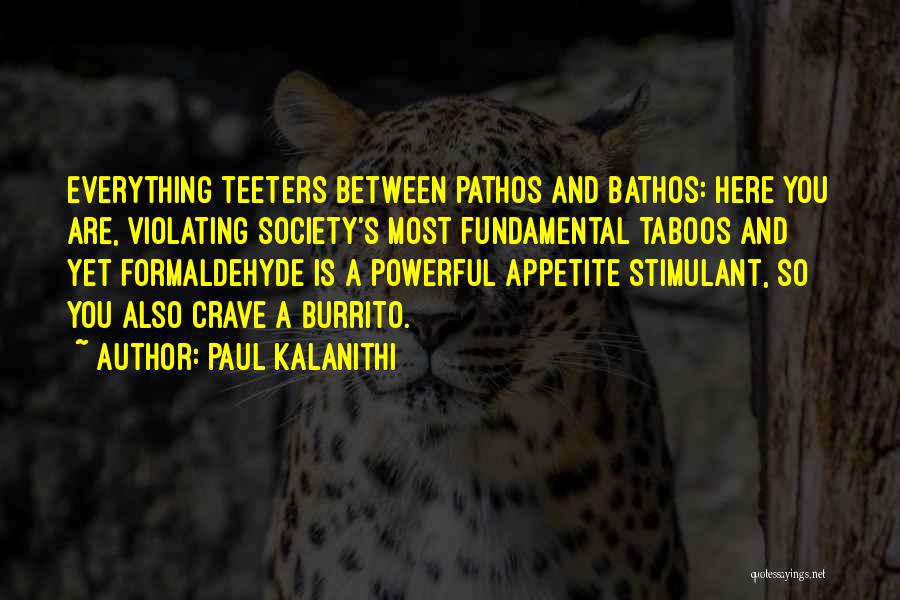 Paul Kalanithi Quotes: Everything Teeters Between Pathos And Bathos: Here You Are, Violating Society's Most Fundamental Taboos And Yet Formaldehyde Is A Powerful