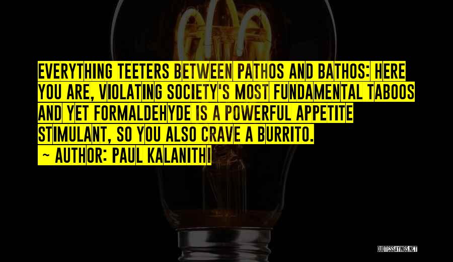 Paul Kalanithi Quotes: Everything Teeters Between Pathos And Bathos: Here You Are, Violating Society's Most Fundamental Taboos And Yet Formaldehyde Is A Powerful