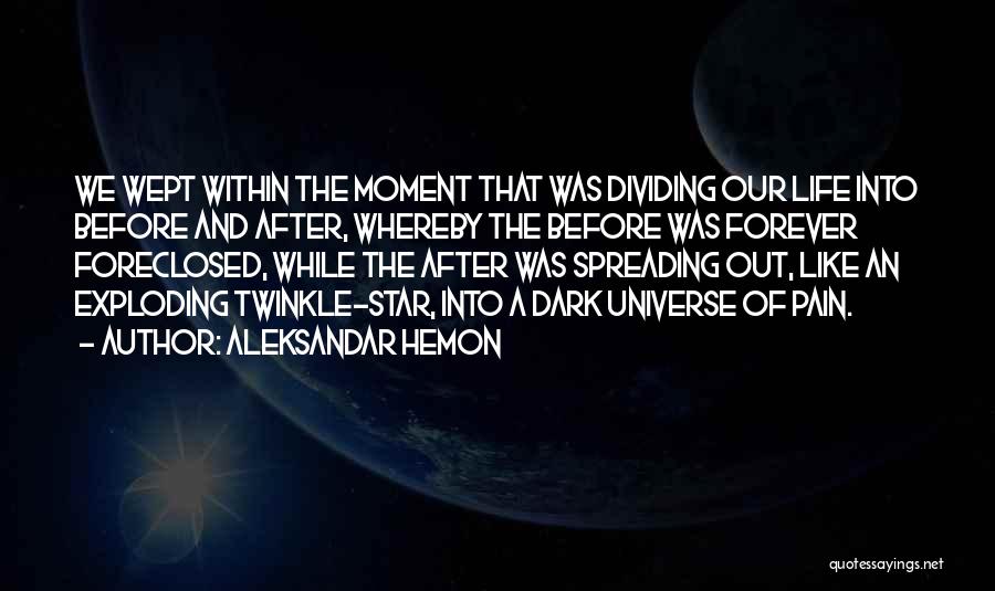 Aleksandar Hemon Quotes: We Wept Within The Moment That Was Dividing Our Life Into Before And After, Whereby The Before Was Forever Foreclosed,