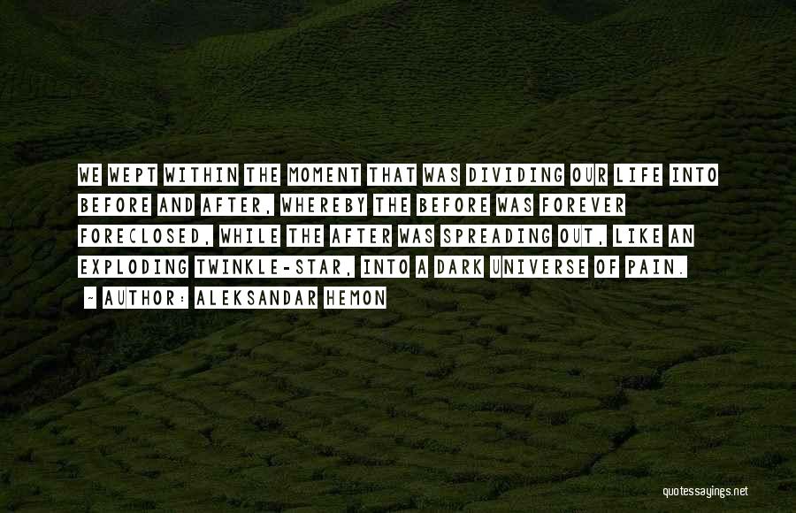 Aleksandar Hemon Quotes: We Wept Within The Moment That Was Dividing Our Life Into Before And After, Whereby The Before Was Forever Foreclosed,