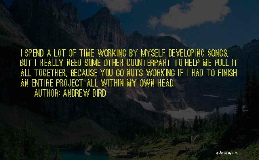 Andrew Bird Quotes: I Spend A Lot Of Time Working By Myself Developing Songs, But I Really Need Some Other Counterpart To Help