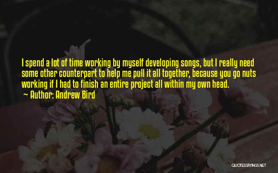 Andrew Bird Quotes: I Spend A Lot Of Time Working By Myself Developing Songs, But I Really Need Some Other Counterpart To Help