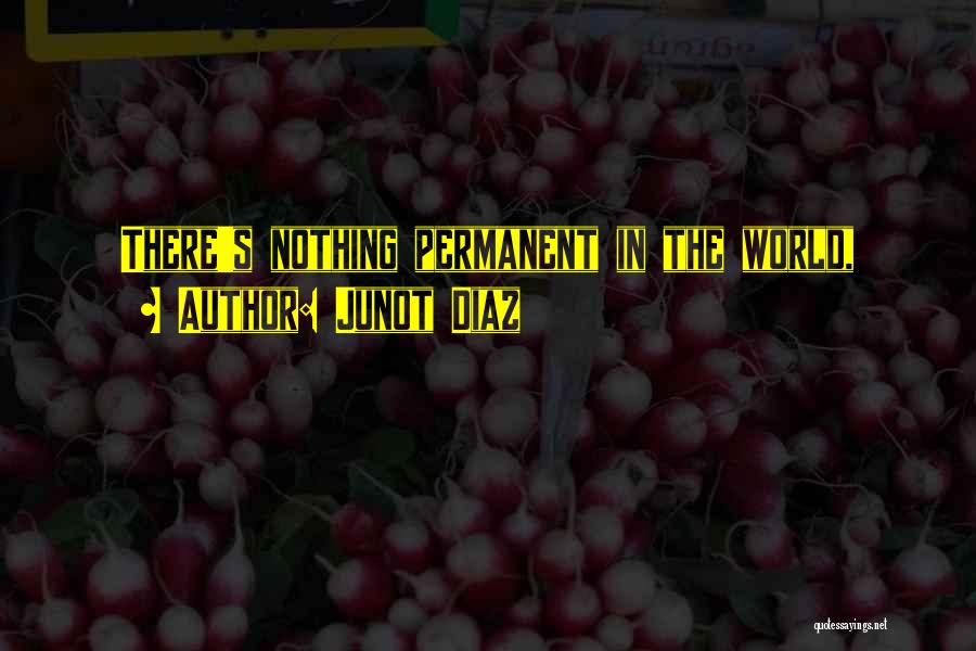 Junot Diaz Quotes: There's Nothing Permanent In The World,