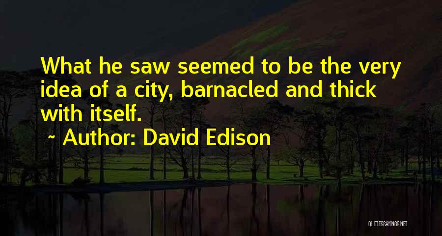 David Edison Quotes: What He Saw Seemed To Be The Very Idea Of A City, Barnacled And Thick With Itself.