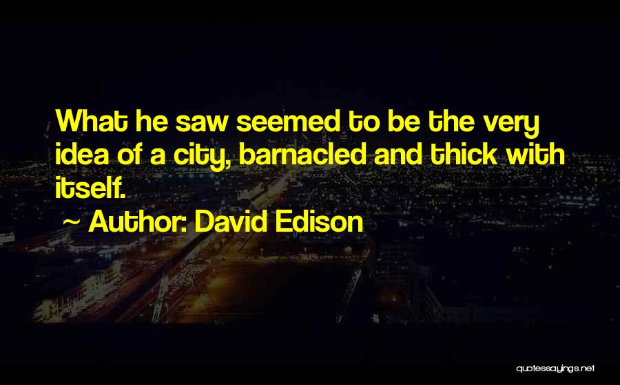 David Edison Quotes: What He Saw Seemed To Be The Very Idea Of A City, Barnacled And Thick With Itself.