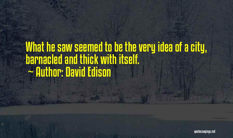 David Edison Quotes: What He Saw Seemed To Be The Very Idea Of A City, Barnacled And Thick With Itself.