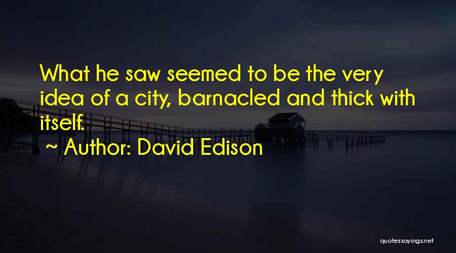 David Edison Quotes: What He Saw Seemed To Be The Very Idea Of A City, Barnacled And Thick With Itself.