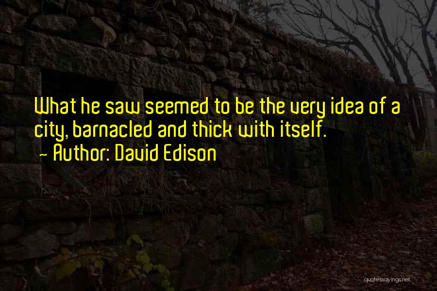 David Edison Quotes: What He Saw Seemed To Be The Very Idea Of A City, Barnacled And Thick With Itself.