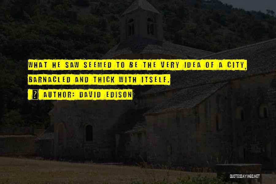 David Edison Quotes: What He Saw Seemed To Be The Very Idea Of A City, Barnacled And Thick With Itself.