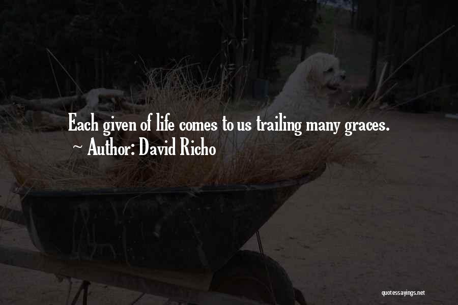 David Richo Quotes: Each Given Of Life Comes To Us Trailing Many Graces.