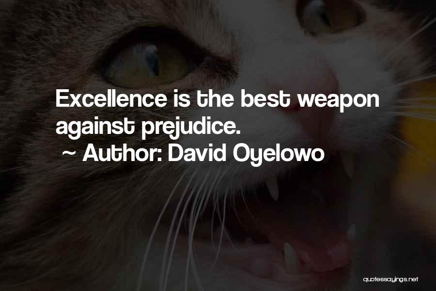 David Oyelowo Quotes: Excellence Is The Best Weapon Against Prejudice.