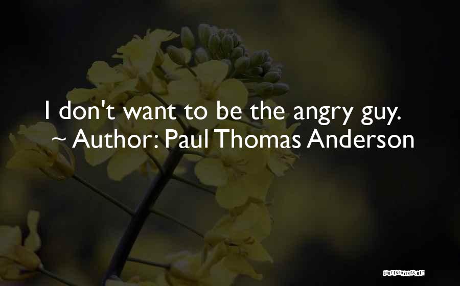 Paul Thomas Anderson Quotes: I Don't Want To Be The Angry Guy.