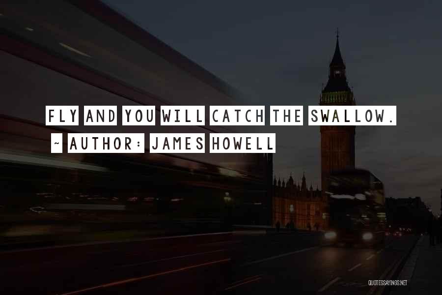 James Howell Quotes: Fly And You Will Catch The Swallow.