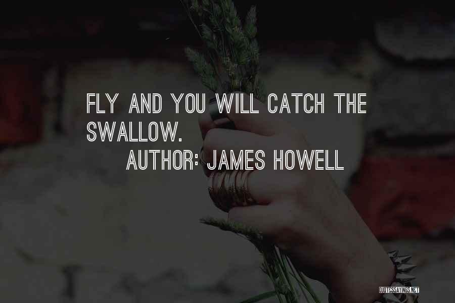 James Howell Quotes: Fly And You Will Catch The Swallow.