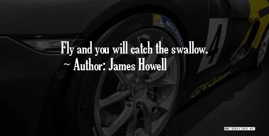 James Howell Quotes: Fly And You Will Catch The Swallow.