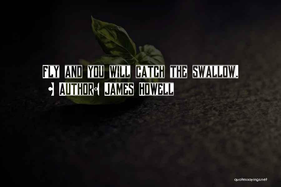 James Howell Quotes: Fly And You Will Catch The Swallow.