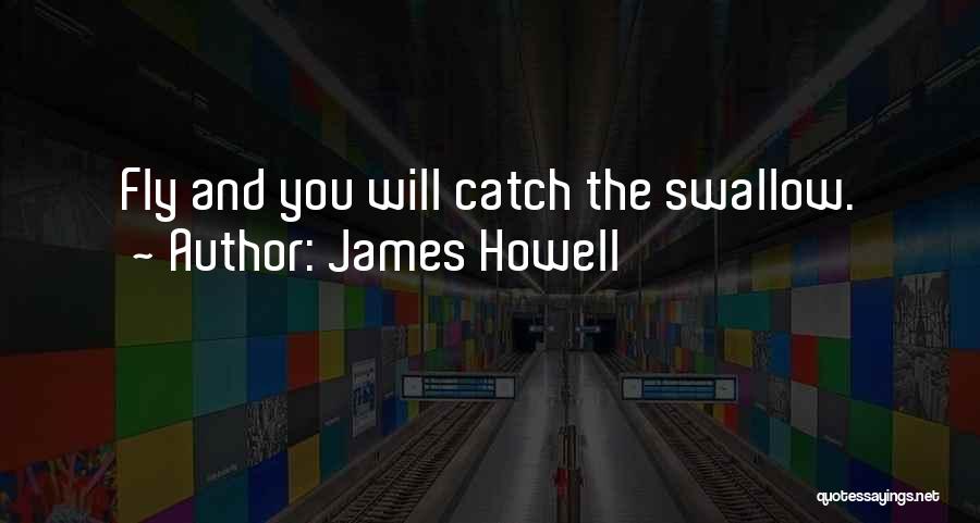 James Howell Quotes: Fly And You Will Catch The Swallow.