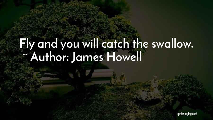 James Howell Quotes: Fly And You Will Catch The Swallow.