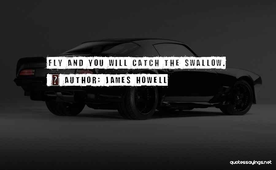 James Howell Quotes: Fly And You Will Catch The Swallow.