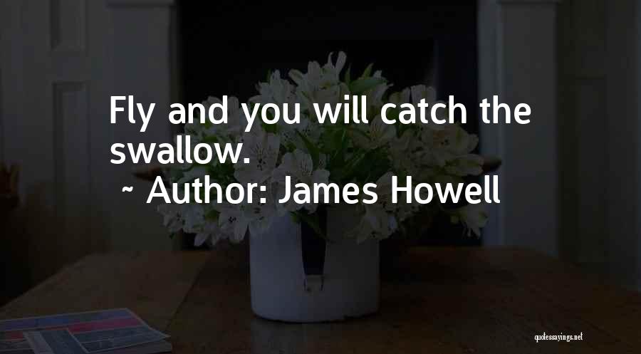 James Howell Quotes: Fly And You Will Catch The Swallow.