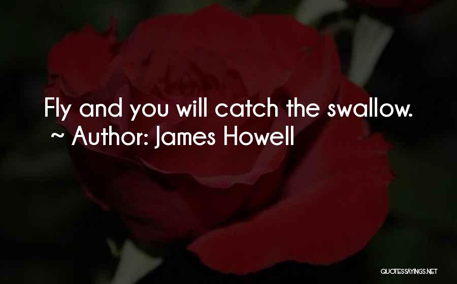 James Howell Quotes: Fly And You Will Catch The Swallow.