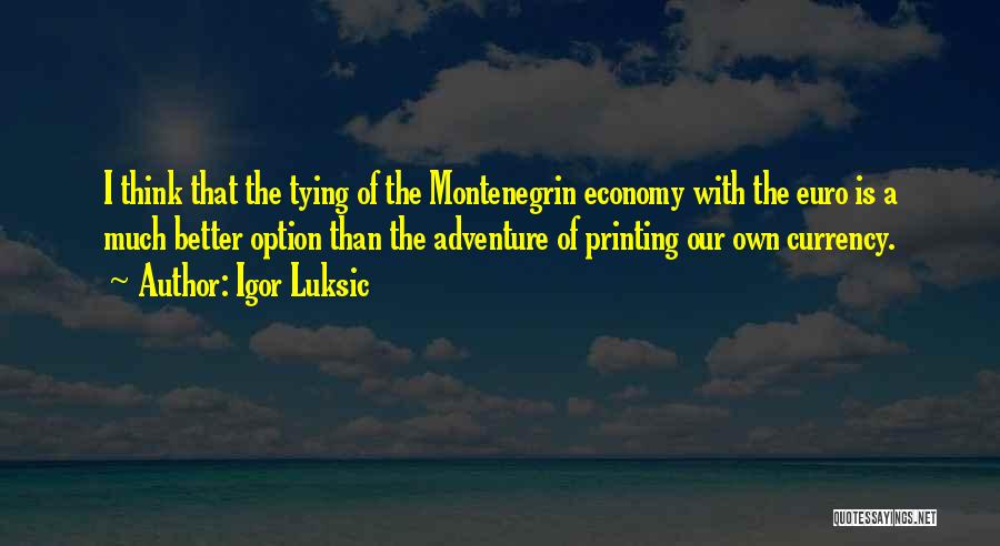 Igor Luksic Quotes: I Think That The Tying Of The Montenegrin Economy With The Euro Is A Much Better Option Than The Adventure