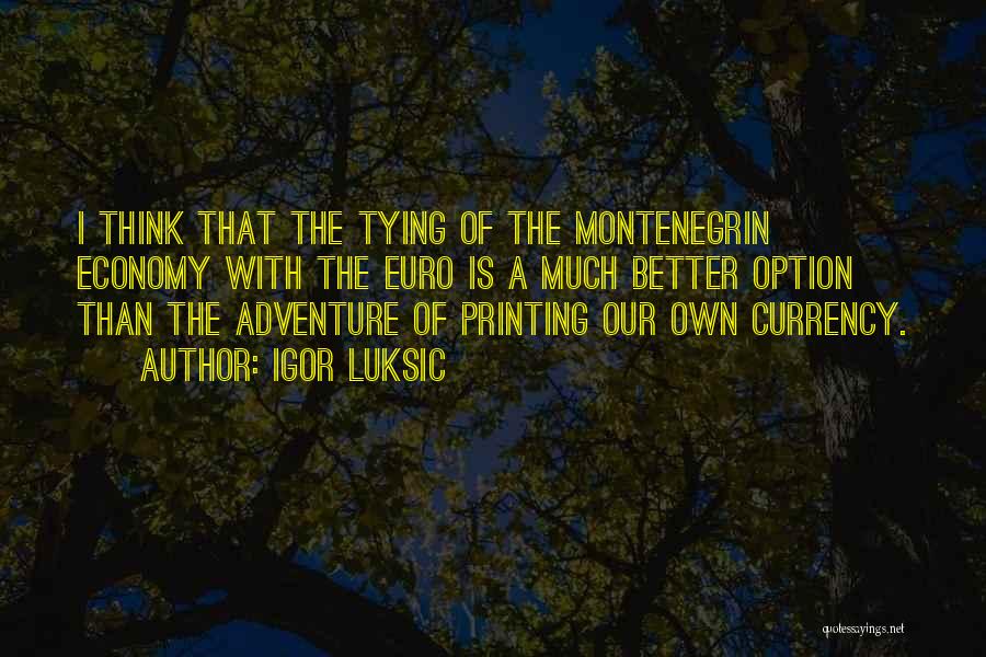 Igor Luksic Quotes: I Think That The Tying Of The Montenegrin Economy With The Euro Is A Much Better Option Than The Adventure