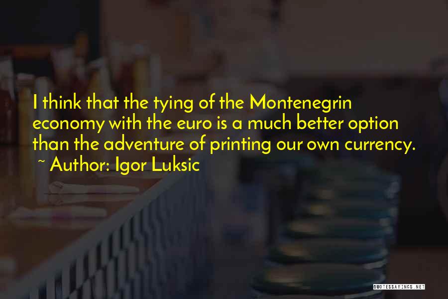Igor Luksic Quotes: I Think That The Tying Of The Montenegrin Economy With The Euro Is A Much Better Option Than The Adventure