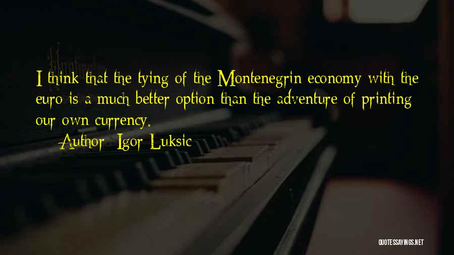 Igor Luksic Quotes: I Think That The Tying Of The Montenegrin Economy With The Euro Is A Much Better Option Than The Adventure