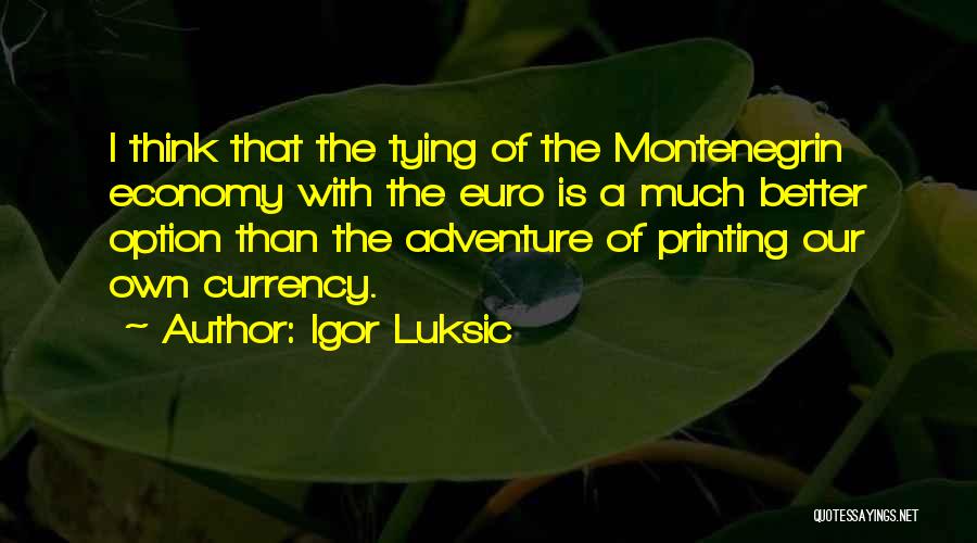 Igor Luksic Quotes: I Think That The Tying Of The Montenegrin Economy With The Euro Is A Much Better Option Than The Adventure