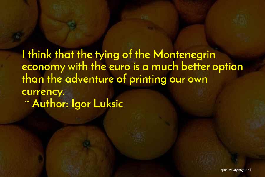 Igor Luksic Quotes: I Think That The Tying Of The Montenegrin Economy With The Euro Is A Much Better Option Than The Adventure
