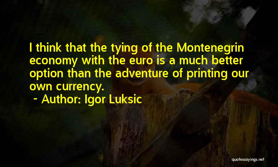 Igor Luksic Quotes: I Think That The Tying Of The Montenegrin Economy With The Euro Is A Much Better Option Than The Adventure