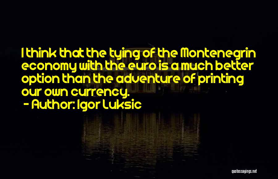 Igor Luksic Quotes: I Think That The Tying Of The Montenegrin Economy With The Euro Is A Much Better Option Than The Adventure