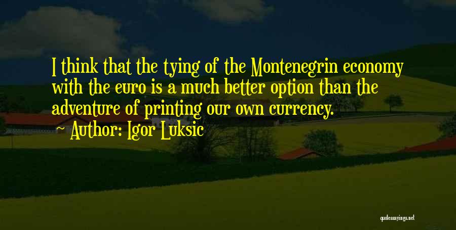 Igor Luksic Quotes: I Think That The Tying Of The Montenegrin Economy With The Euro Is A Much Better Option Than The Adventure
