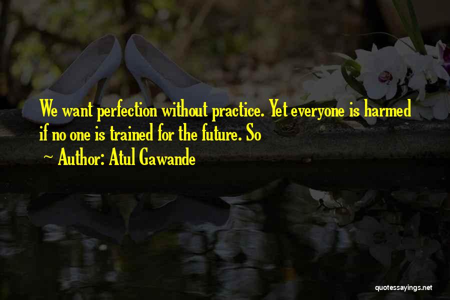 Atul Gawande Quotes: We Want Perfection Without Practice. Yet Everyone Is Harmed If No One Is Trained For The Future. So