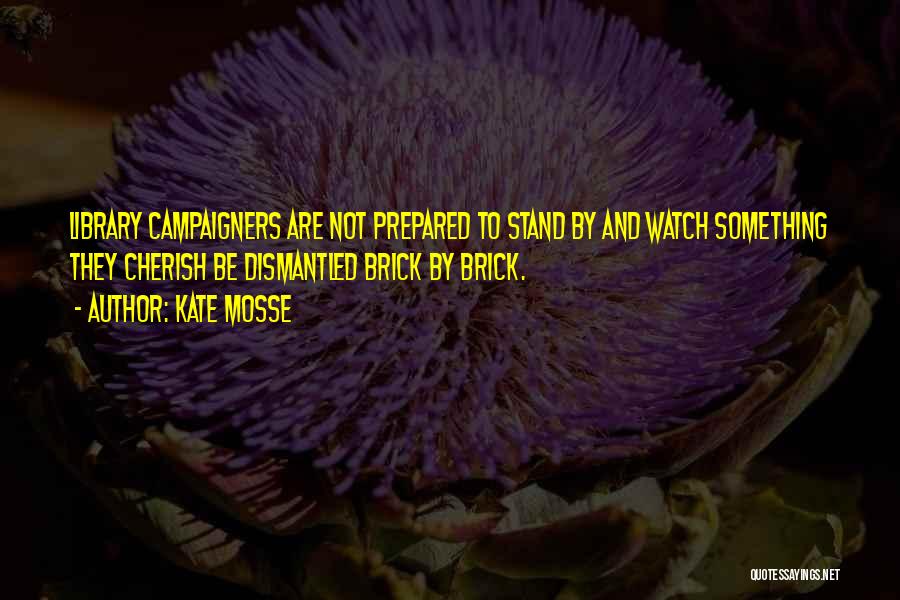 Kate Mosse Quotes: Library Campaigners Are Not Prepared To Stand By And Watch Something They Cherish Be Dismantled Brick By Brick.