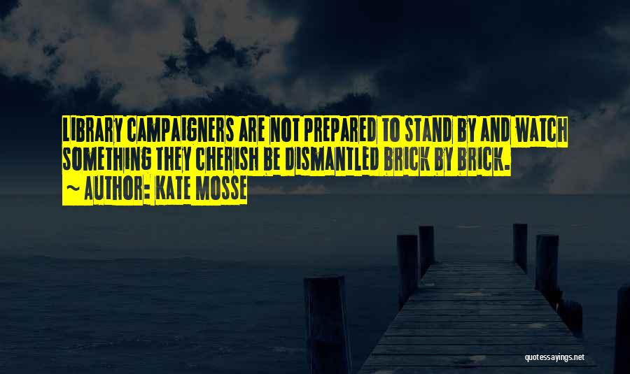 Kate Mosse Quotes: Library Campaigners Are Not Prepared To Stand By And Watch Something They Cherish Be Dismantled Brick By Brick.