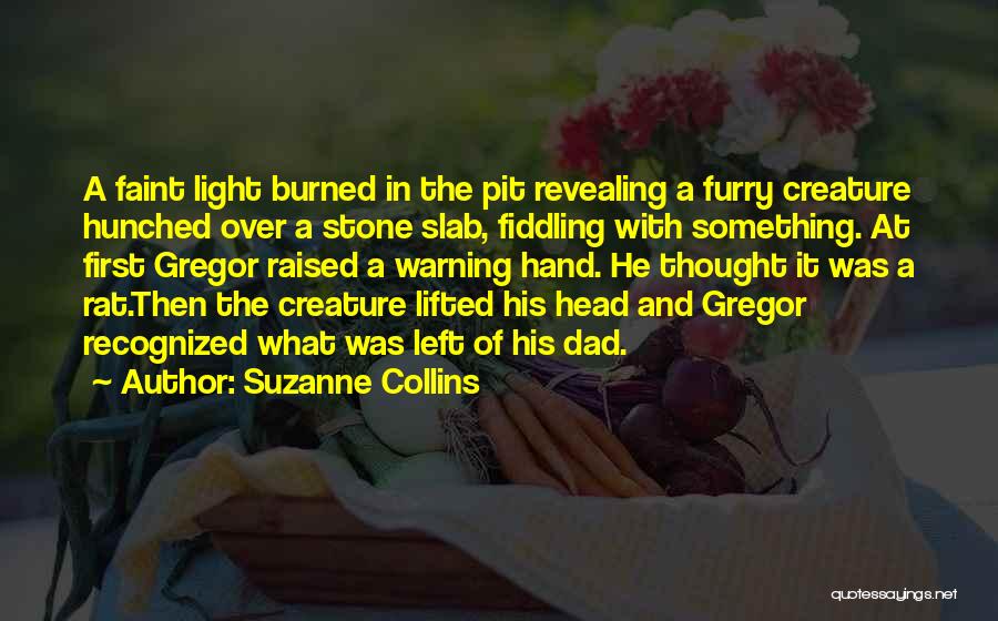 Suzanne Collins Quotes: A Faint Light Burned In The Pit Revealing A Furry Creature Hunched Over A Stone Slab, Fiddling With Something. At