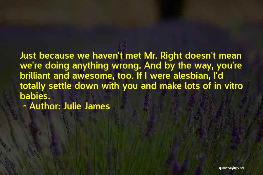 Julie James Quotes: Just Because We Haven't Met Mr. Right Doesn't Mean We're Doing Anything Wrong. And By The Way, You're Brilliant And