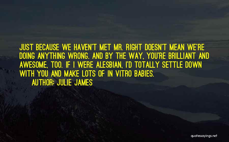 Julie James Quotes: Just Because We Haven't Met Mr. Right Doesn't Mean We're Doing Anything Wrong. And By The Way, You're Brilliant And