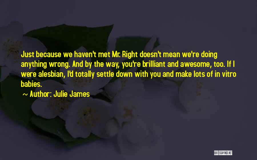 Julie James Quotes: Just Because We Haven't Met Mr. Right Doesn't Mean We're Doing Anything Wrong. And By The Way, You're Brilliant And