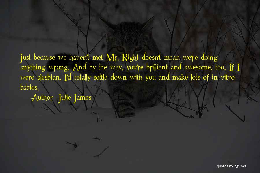 Julie James Quotes: Just Because We Haven't Met Mr. Right Doesn't Mean We're Doing Anything Wrong. And By The Way, You're Brilliant And