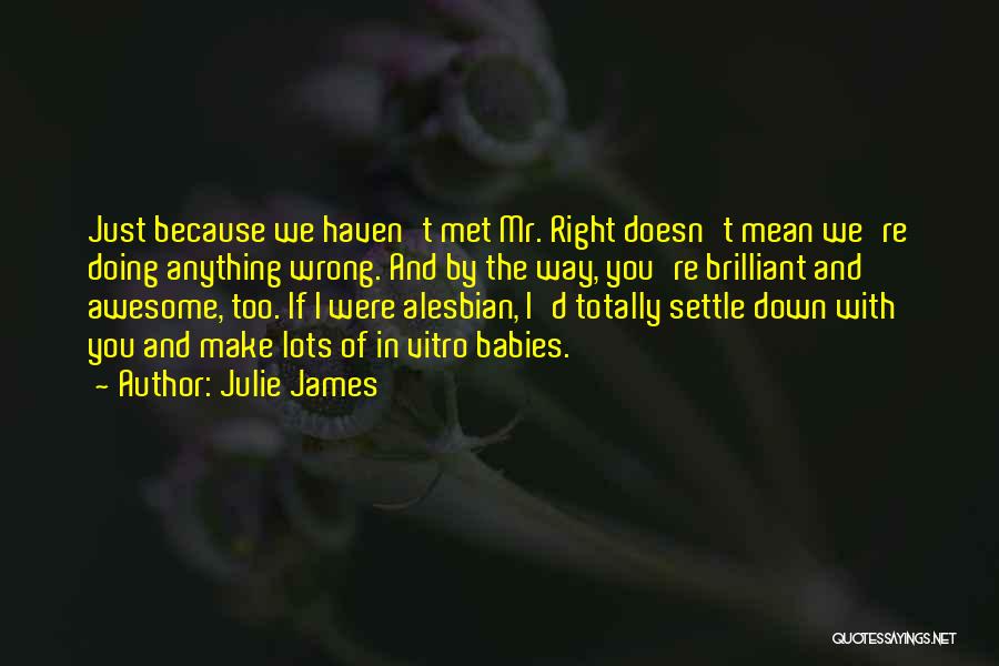 Julie James Quotes: Just Because We Haven't Met Mr. Right Doesn't Mean We're Doing Anything Wrong. And By The Way, You're Brilliant And