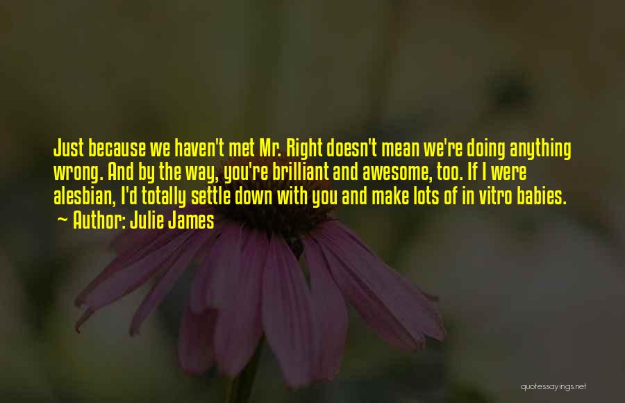 Julie James Quotes: Just Because We Haven't Met Mr. Right Doesn't Mean We're Doing Anything Wrong. And By The Way, You're Brilliant And