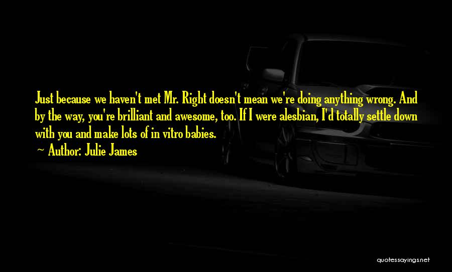 Julie James Quotes: Just Because We Haven't Met Mr. Right Doesn't Mean We're Doing Anything Wrong. And By The Way, You're Brilliant And