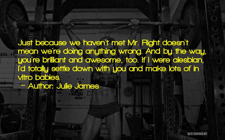 Julie James Quotes: Just Because We Haven't Met Mr. Right Doesn't Mean We're Doing Anything Wrong. And By The Way, You're Brilliant And