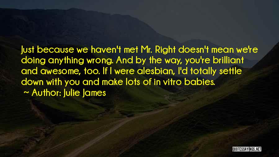 Julie James Quotes: Just Because We Haven't Met Mr. Right Doesn't Mean We're Doing Anything Wrong. And By The Way, You're Brilliant And