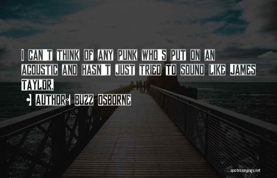 Buzz Osborne Quotes: I Can't Think Of Any Punk Who's Put On An Acoustic And Hasn't Just Tried To Sound Like James Taylor.