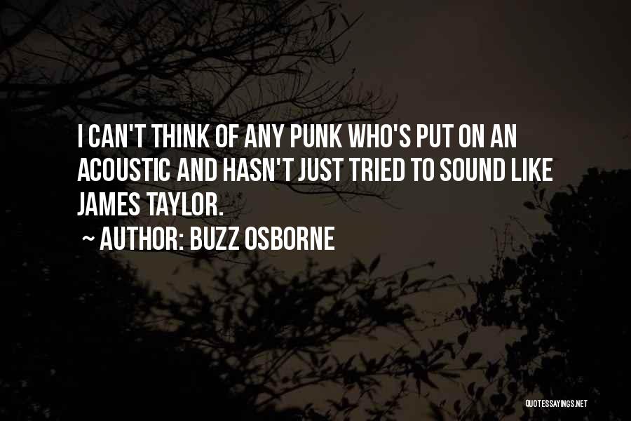 Buzz Osborne Quotes: I Can't Think Of Any Punk Who's Put On An Acoustic And Hasn't Just Tried To Sound Like James Taylor.