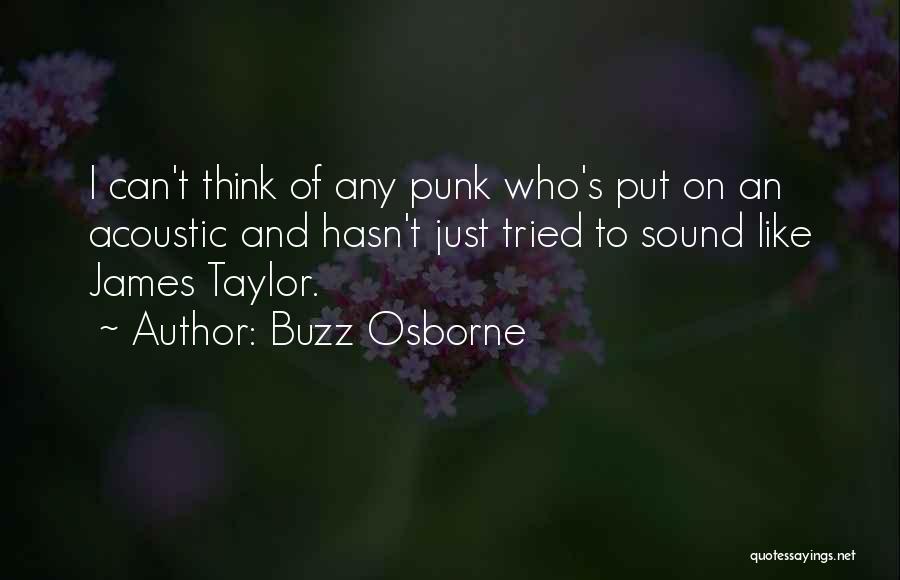 Buzz Osborne Quotes: I Can't Think Of Any Punk Who's Put On An Acoustic And Hasn't Just Tried To Sound Like James Taylor.